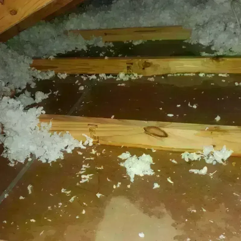 Attic Water Damage in Sanborn County, SD