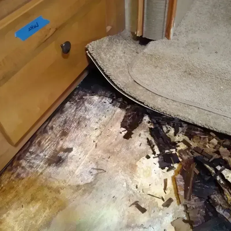 Wood Floor Water Damage in Sanborn County, SD